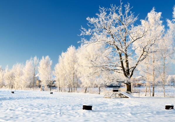 您可以了解遇险的根源