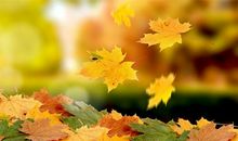 谁不想开开心心的句子