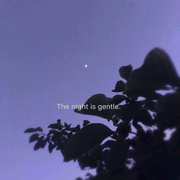 好像她在安静地和周围的小星星说话