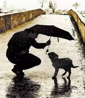 善良-人类固有的善良