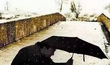 描写发红包人的句子