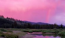 感悟人生经历的句子