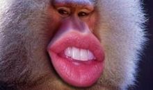 搞笑说说2018最新说说