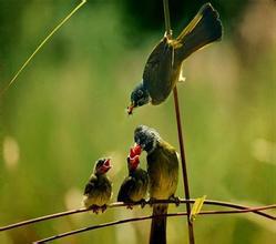    关于家庭关系的名言  1