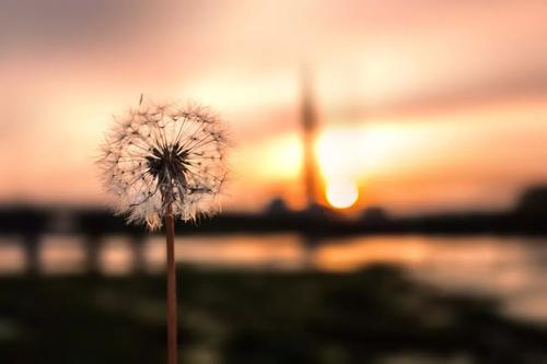 希望光明和人性化的生活最终将诞生