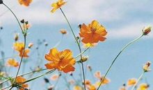 形容同事收到礼物很开心的句子