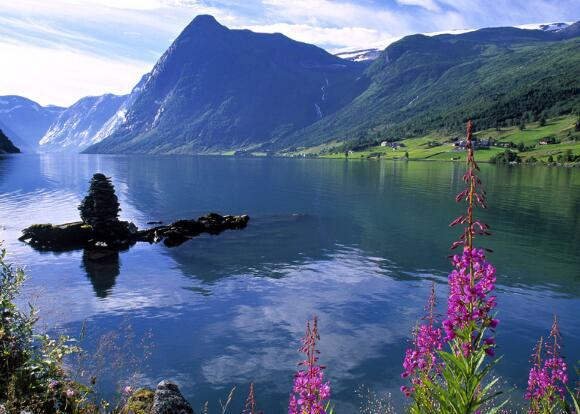   人生经历的奇妙句子（1）  1）即使是未成熟的尝试也比死亡策略要好