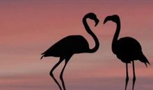 2019空间搞笑说说大全