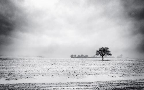 人们最害怕的是将希望寄托在一件事情上时的失望