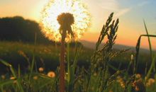 委屈伤心的说说