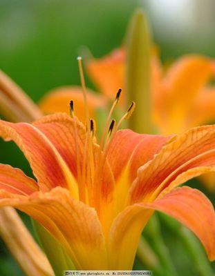 闪烁的信封充满了幸福的期望