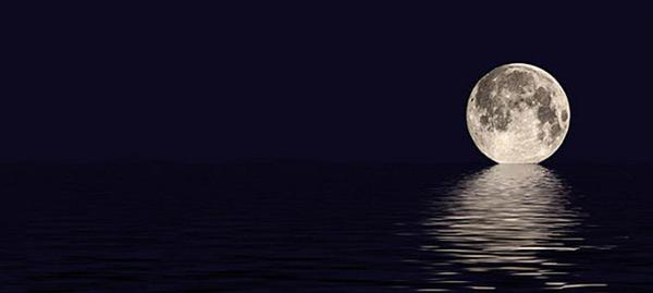 年轻的女孩在结霜