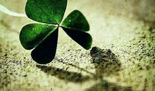 适合发朋友圈的沙雕句子