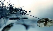 对一个人失望不想在说什么的句子