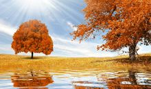 团队正能量激励的句子