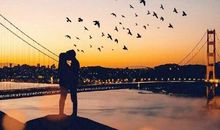 经典的情感文字短句