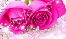 七夕谢谢发红包的句子