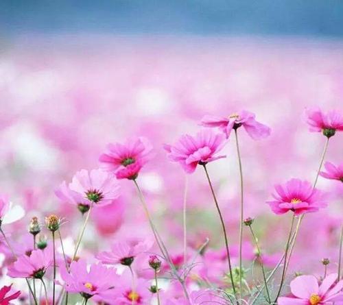 生活充满了甜蜜和苦涩