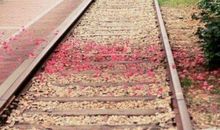 关于幸福的qq签名