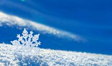 有关描写雪的句子