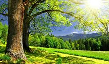 精英队团队口号大全