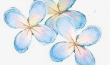 有开心的词句子有哪些