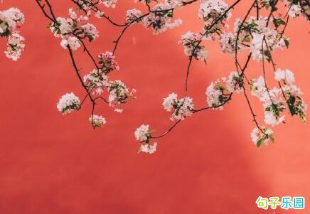 你说彝族人很尴尬