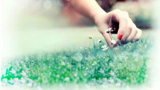 席慕容爱情诗：我已在佛前求了五百年【中英文版】 0