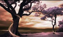 优美句子精选30句