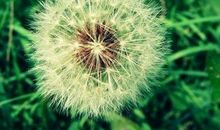 2020网上最火最潮短句说说