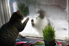 编辑编辑了一些令人心碎的深情句子