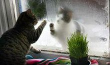 让人心碎的亲情句子