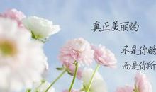 描写花美的优美句子