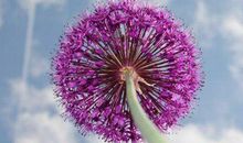 适合武汉解封发的说说 关于疫情解封的说说