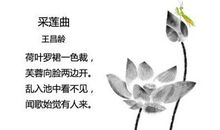 描写荷花的诗句古诗