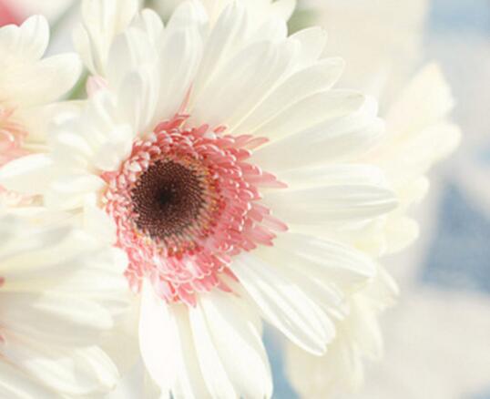 无聊的人只想做无聊的事情