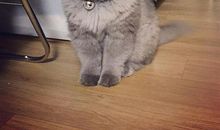 描写不开心样子的句子