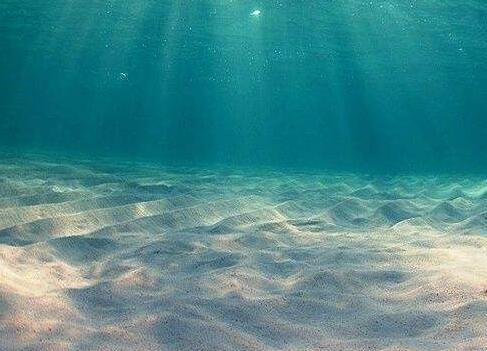 您了解欢乐后的损失吗