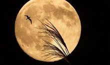 哄群主开心的句子