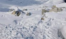 冬天出门需要勇气的说说 冬天太冷不想出门的说说