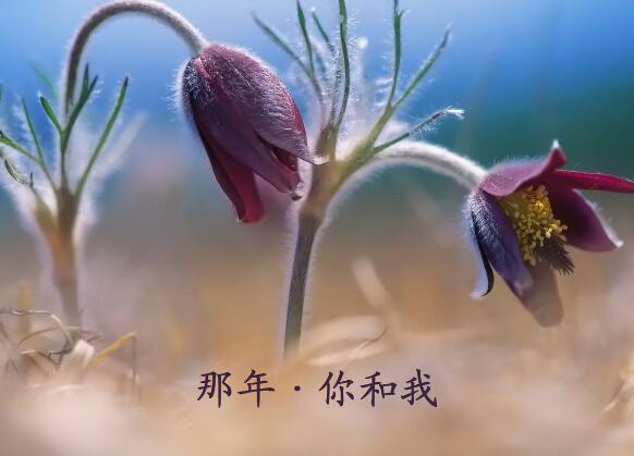 不再有暑假和寒假