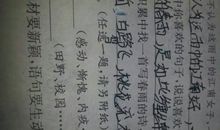 描写下春雨时的诗句