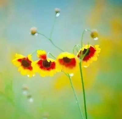 一丝真诚胜过一千金