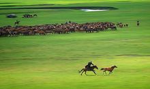 描写草原的诗词