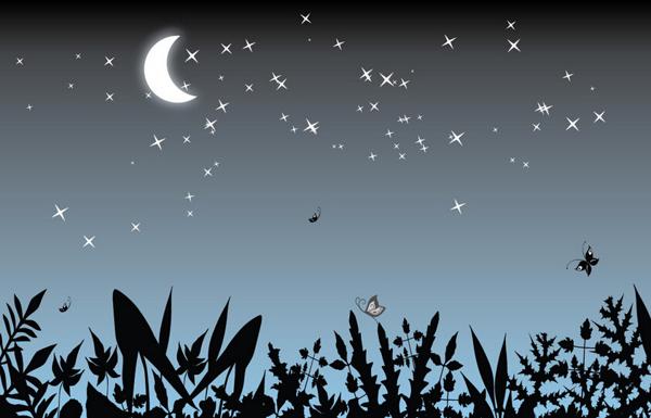    夜晚美丽的句子  1