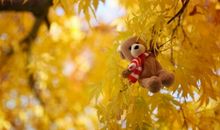 励志文艺范的句子精选