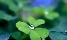 女友对你失望的句子