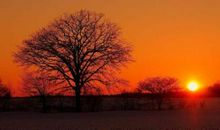对朋友信任失望的句子说说心情