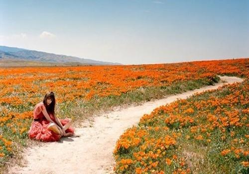 父母是孩子的整个世界