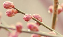 文艺的经典个性签名